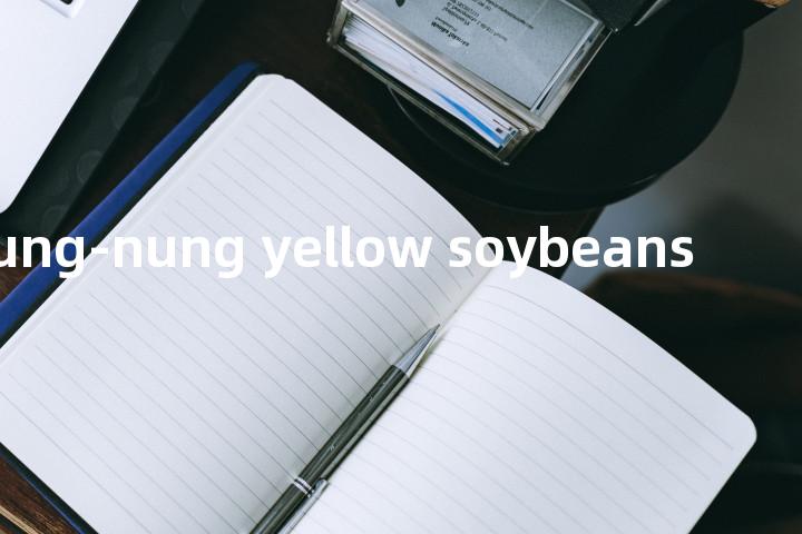 Tung-nung yellow soybeans单词图解，单词释义场景配图