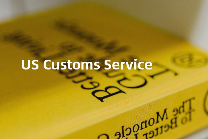 US Customs Service单词图解，单词释义场景配图