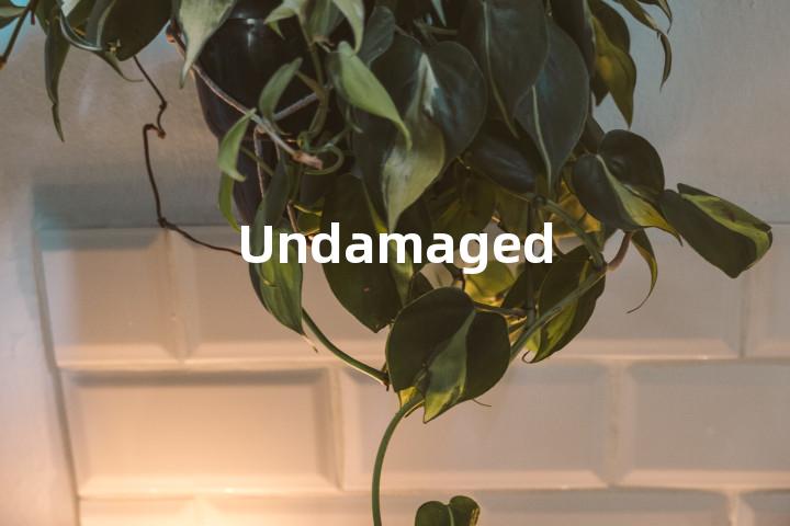 Undamaged