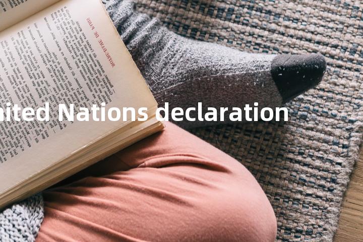 United Nations declaration单词图解，单词释义场景配图
