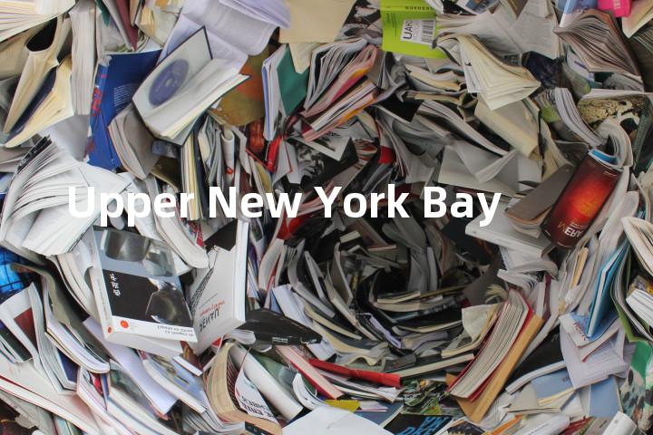 Upper New York Bay单词图解，单词释义场景配图