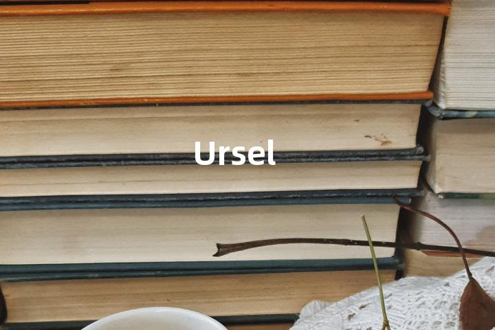 Ursel单词图解，单词释义场景配图