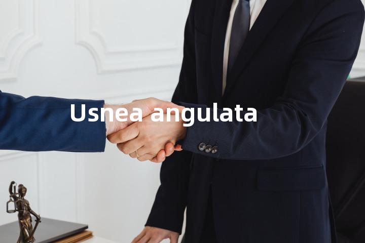 Usnea angulata单词图解，单词释义场景配图