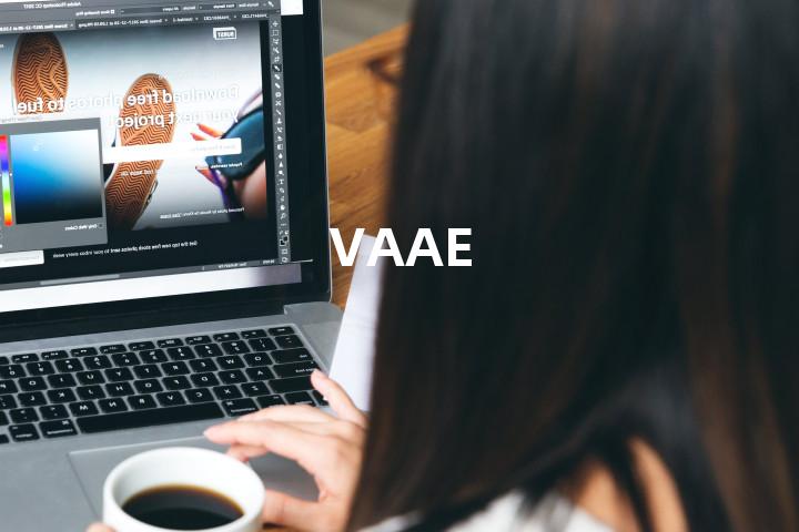 VAAE单词图解，单词释义场景配图