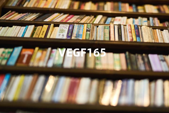 VEGF165单词图解，单词释义场景配图