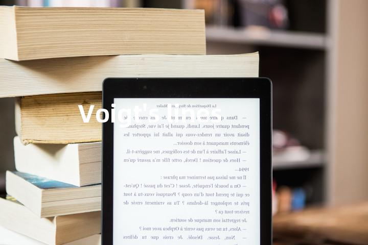 Voigt's lines单词图解，单词释义场景配图