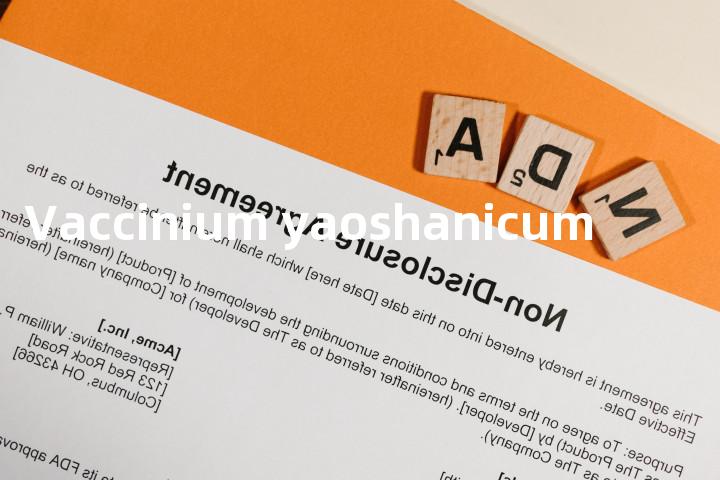 Vaccinium yaoshanicum单词图解，单词释义场景配图
