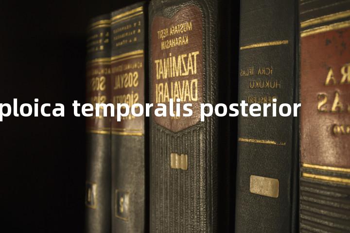 Vena diploica temporalis posterior单词图解，单词释义场景配图