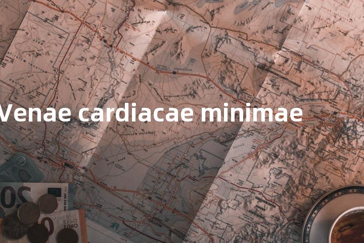 Venae cardiacae minimae单词图解，单词释义场景配图