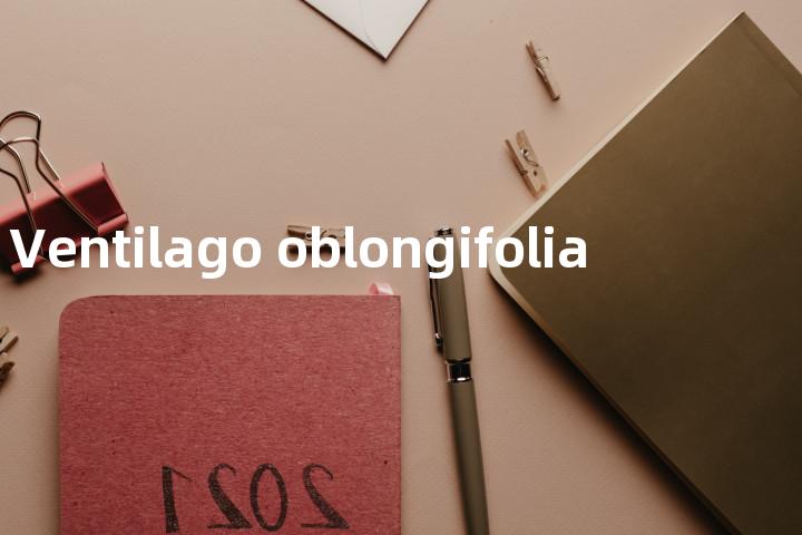 Ventilago oblongifolia单词图解，单词释义场景配图