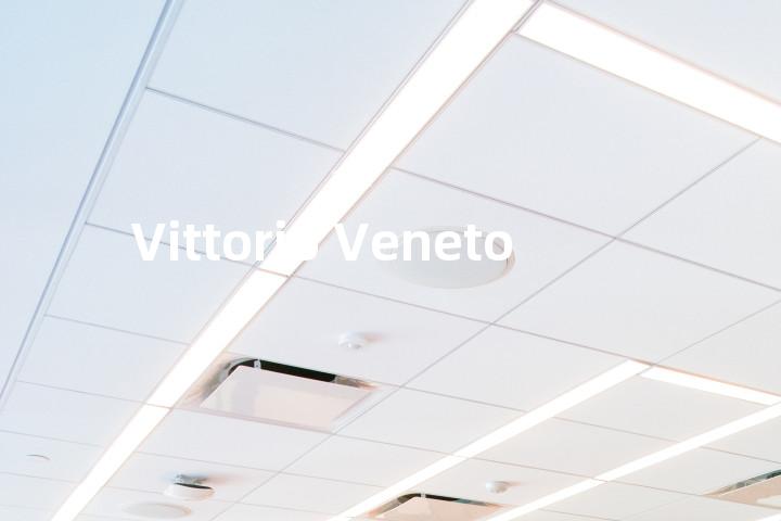 Vittorio Veneto单词图解，单词释义场景配图