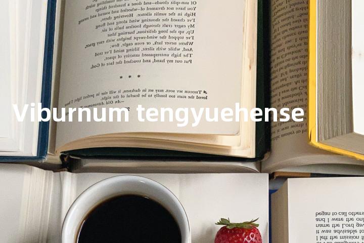 Viburnum tengyuehense单词图解，单词释义场景配图