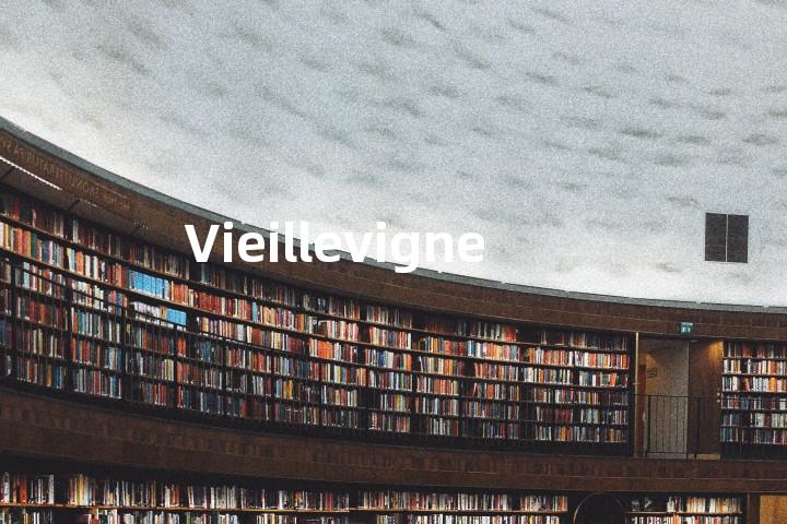Vieillevigne单词图解，单词释义场景配图