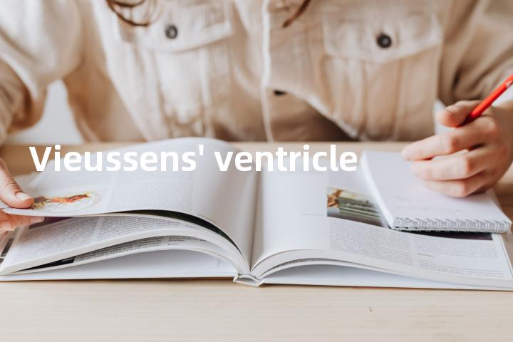 Vieussens' ventricle单词图解，单词释义场景配图