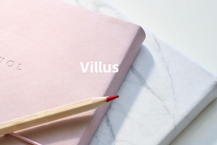 Villus