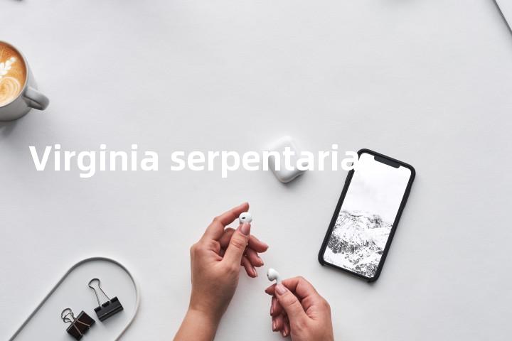 Virginia serpentaria单词图解，单词释义场景配图