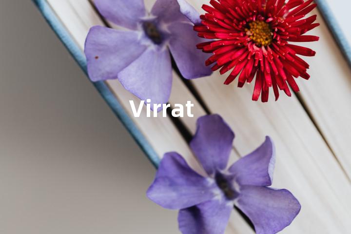 Virrat单词图解，单词释义场景配图