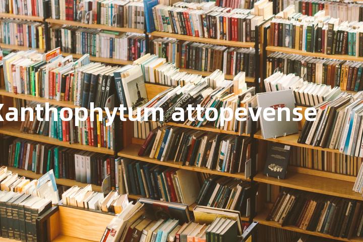 Xanthophytum attopevense单词图解，单词释义场景配图