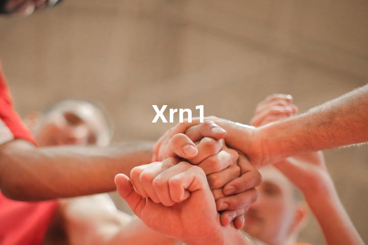 Xrn1单词图解，单词释义场景配图