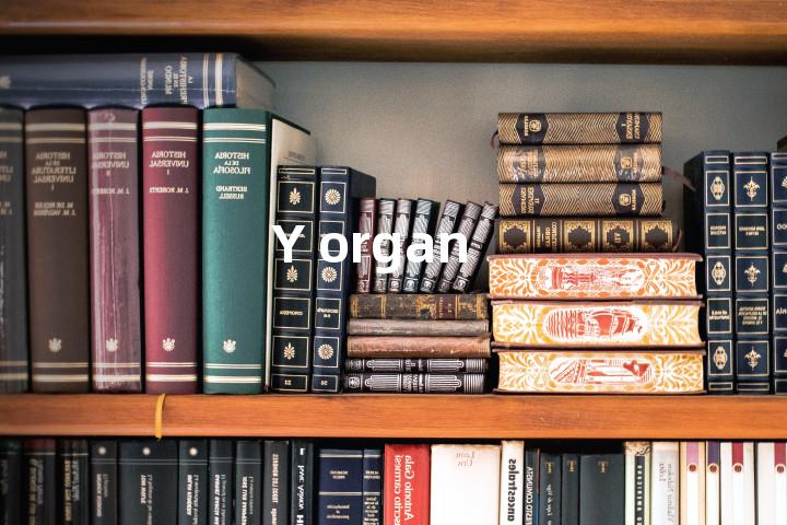 Y organ单词图解，单词释义场景配图