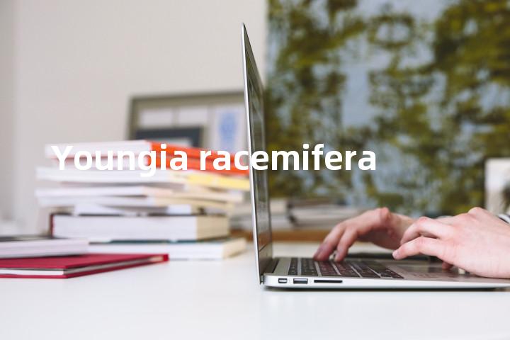 Youngia racemifera单词图解，单词释义场景配图
