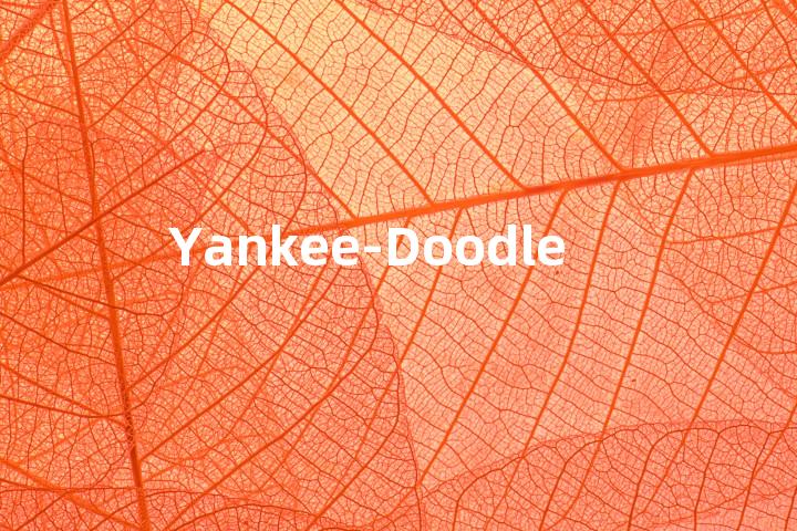 Yankee-Doodle单词图解，单词释义场景配图