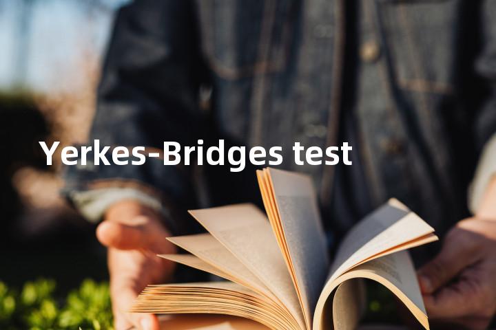 Yerkes-Bridges test单词图解，单词释义场景配图