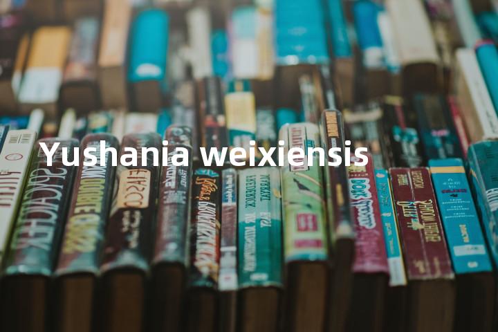 Yushania weixiensis单词图解，单词释义场景配图
