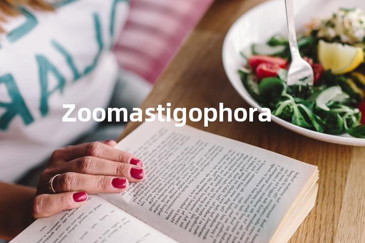 Zoomastigophora单词图解，单词释义场景配图