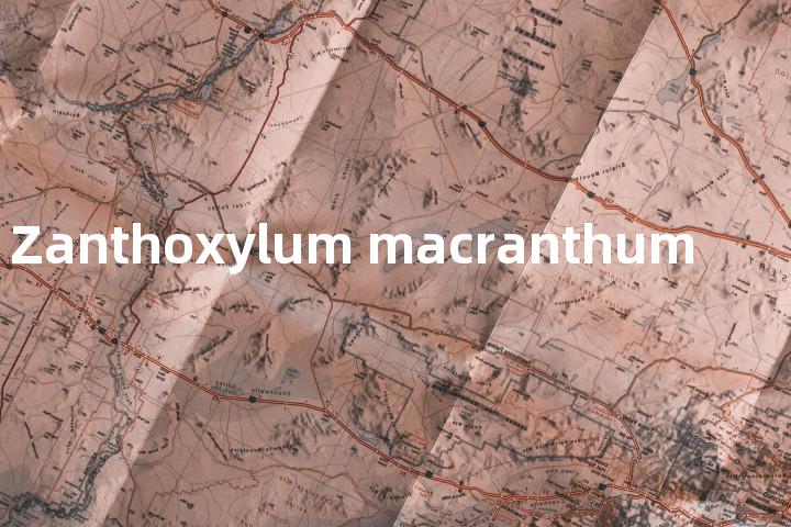 Zanthoxylum macranthum单词图解，单词释义场景配图