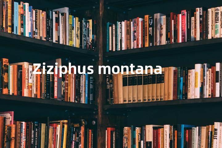Ziziphus montana单词图解，单词释义场景配图