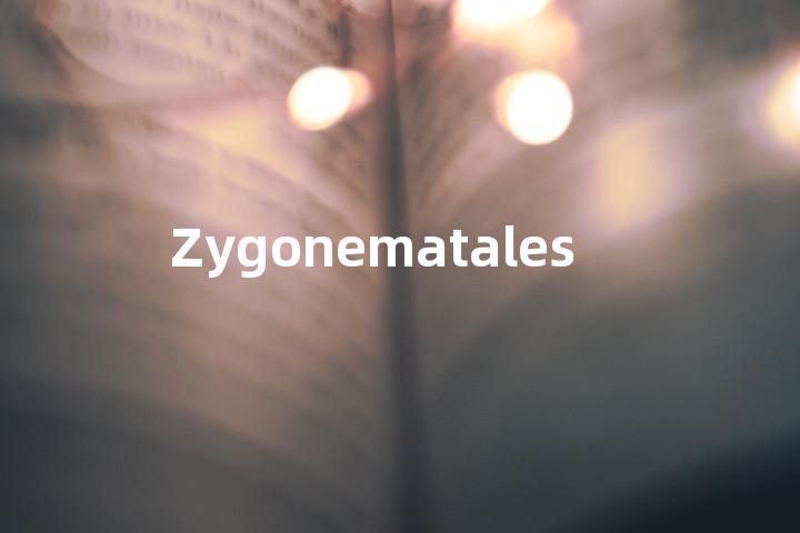 Zygonematales单词图解，单词释义场景配图