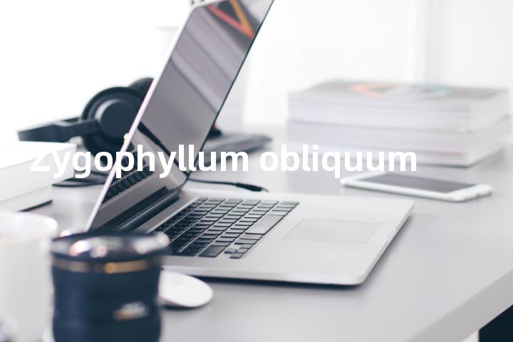 Zygophyllum obliquum单词图解，单词释义场景配图