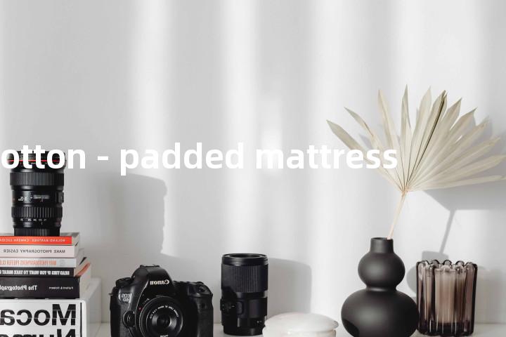 cotton - padded mattress单词图解，单词释义场景配图
