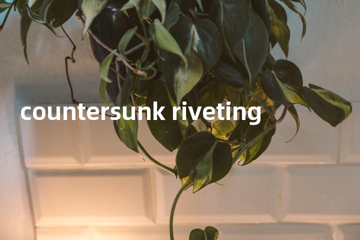 countersunk riveting单词图解，单词释义场景配图