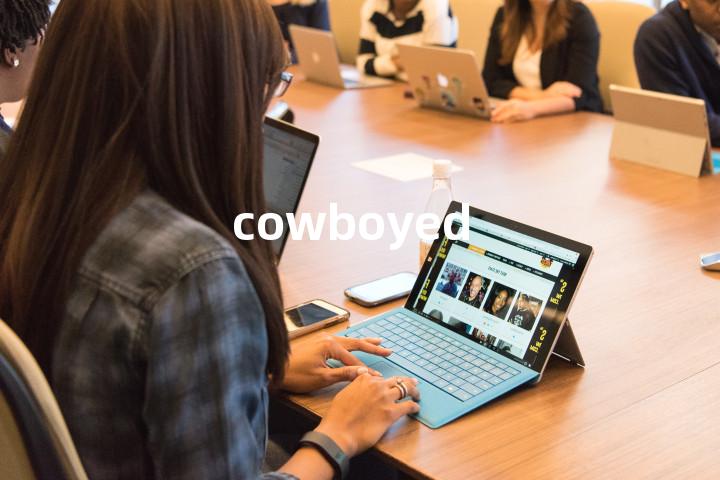 cowboyed单词图解，单词释义场景配图