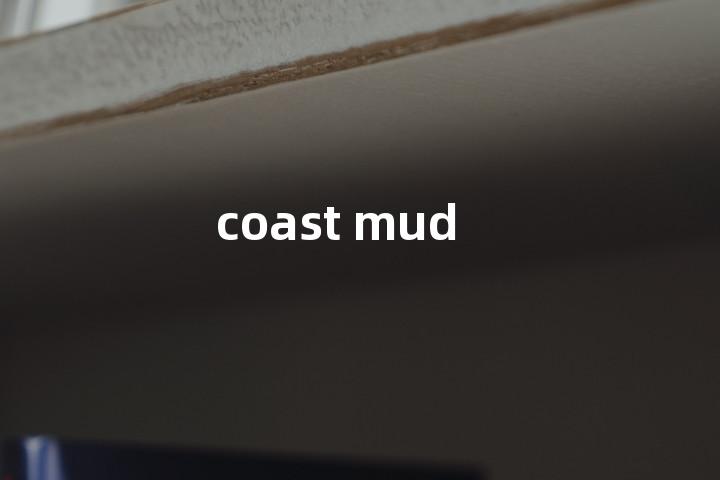 coast mud单词图解，单词释义场景配图