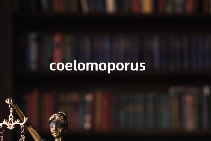 coelomoporus单词图解，单词释义场景配图