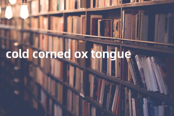 cold corned ox tongue单词图解，单词释义场景配图