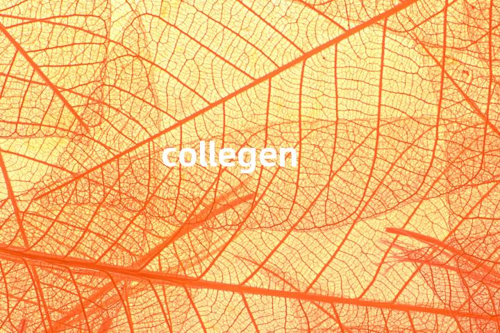 collegen单词图解，单词释义场景配图