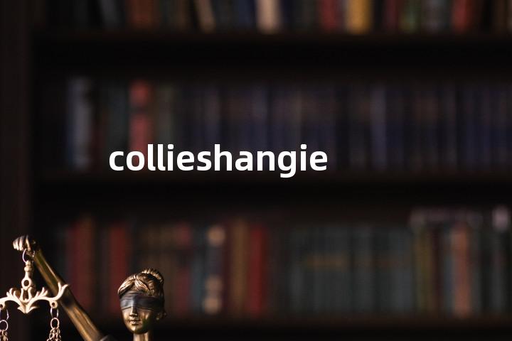 collieshangie单词图解，单词释义场景配图