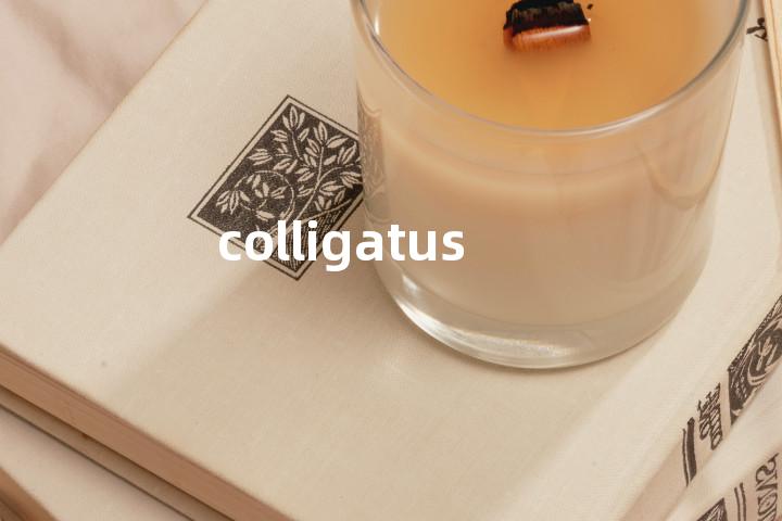 colligatus单词图解，单词释义场景配图