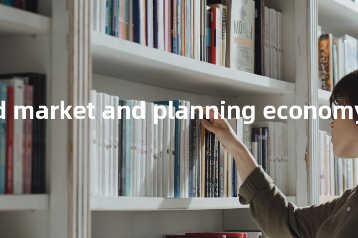 combined market and planning economy单词图解，单词释义场景配图