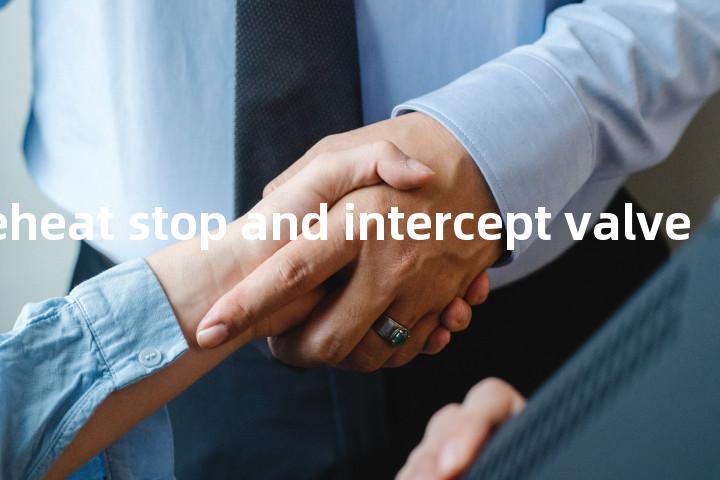 combined reheat stop and intercept valve单词图解，单词释义场景配图