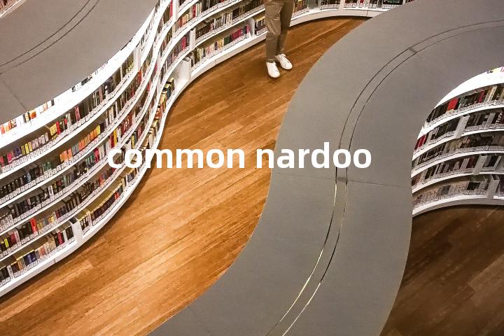 common nardoo单词图解，单词释义场景配图