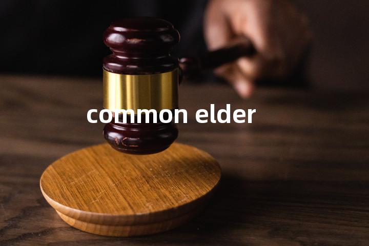 common elder单词图解，单词释义场景配图