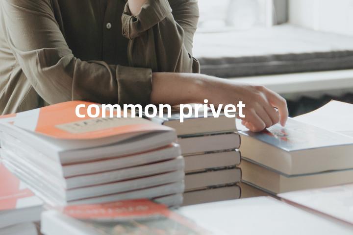 common privet单词图解，单词释义场景配图