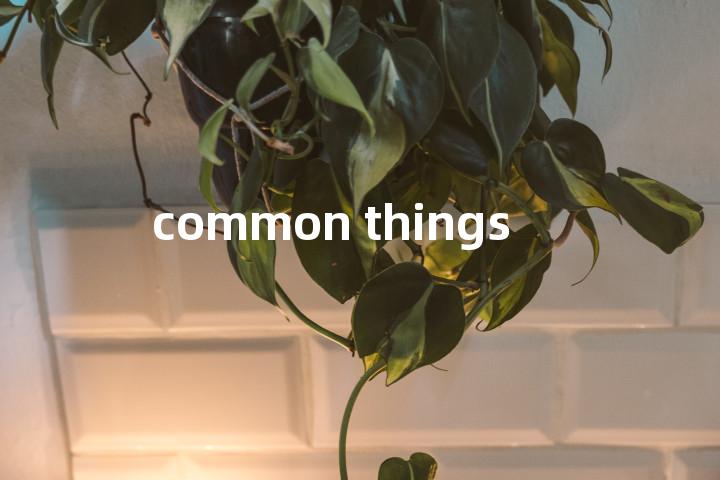 common things单词图解，单词释义场景配图