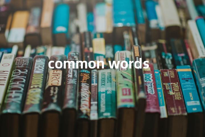 common words单词图解，单词释义场景配图