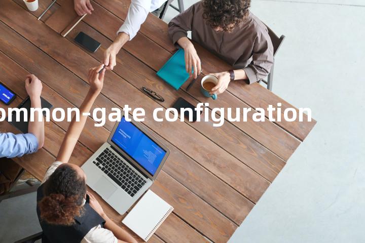 common-gate configuration单词图解，单词释义场景配图